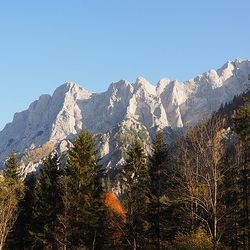 Sonnige Felswände über Wald
